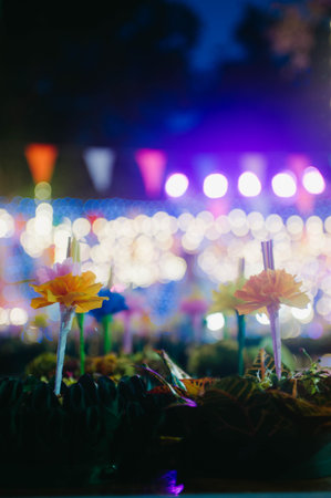 Flower decoration in the garden with bokeh light background.の写真素材