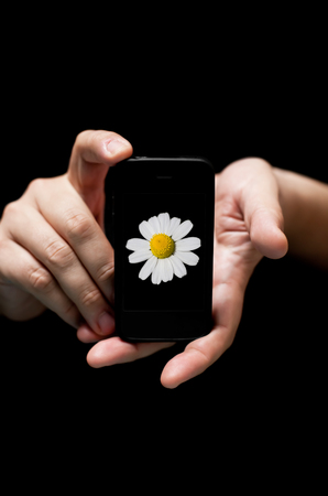 Hands Holding Smartphone, showing    White Flower      
(on black background with very shallow depth of field)の写真素材