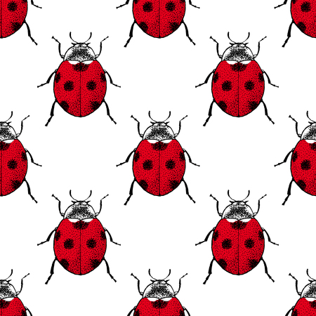 Ladybugs seamless pattern. Vintage hand drawn insects.のイラスト素材