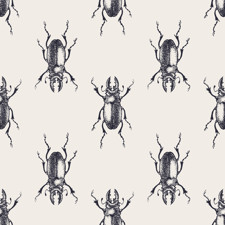 Beetles seamless pattern. Vintage hand drawn insects.の写真素材