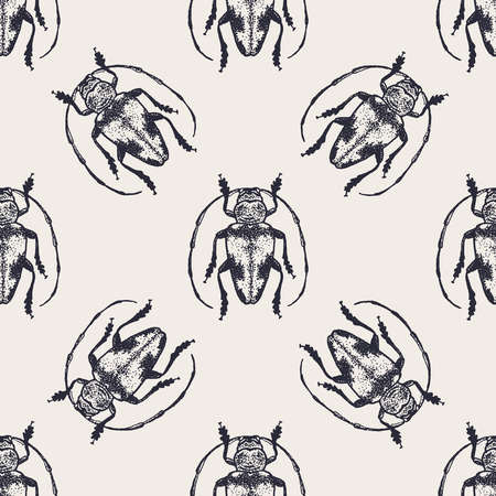 Beetle vintage seamless patternの写真素材
