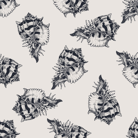 Hand drawn vintage exotic shell abstract patternの写真素材