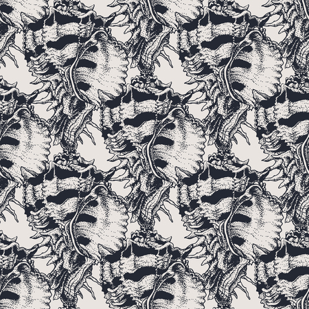 Hand drawn vintage exotic shell abstract patternの写真素材