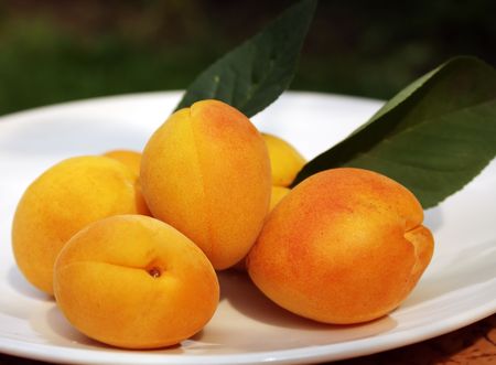 Fresh yellow apricots on the plateの写真素材
