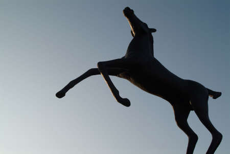 Horseの写真素材