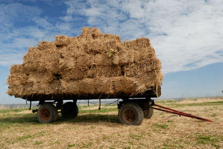 Farmer landの写真素材