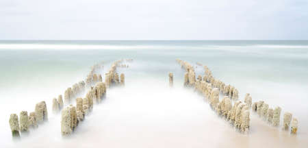 Old groin in Rantum on the island syltの写真素材