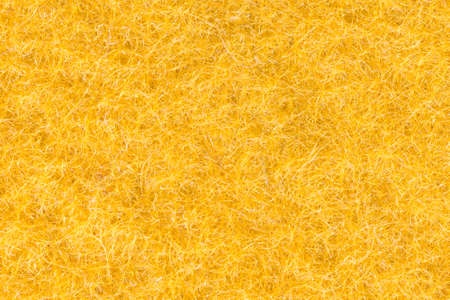 Closeup from a yellow backgroundの写真素材