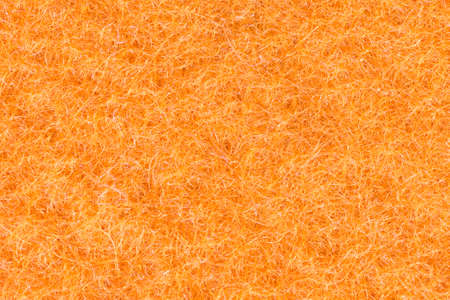 Closeup from a orange backgroundの写真素材