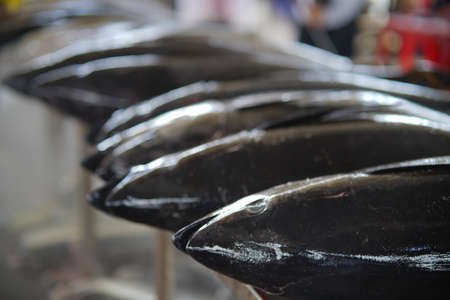 Tuna fish at the market in central Vietnamの写真素材