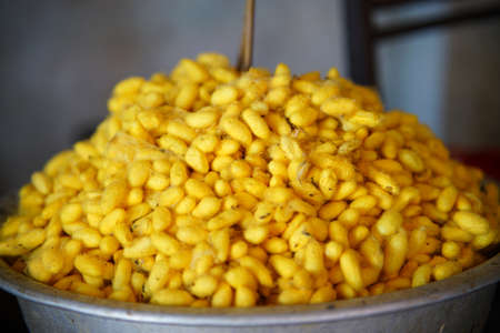 Making yellow silk in northern Vietnam