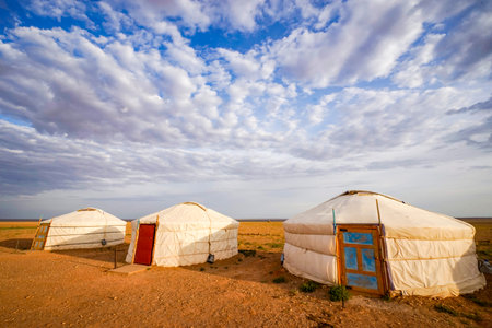 Nice meadow grass with yurt in Mongoliaの写真素材