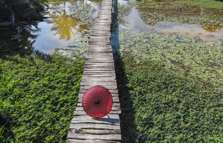 Nice wooden bridge on the grass field in Long An province southern Vietnamの写真素材