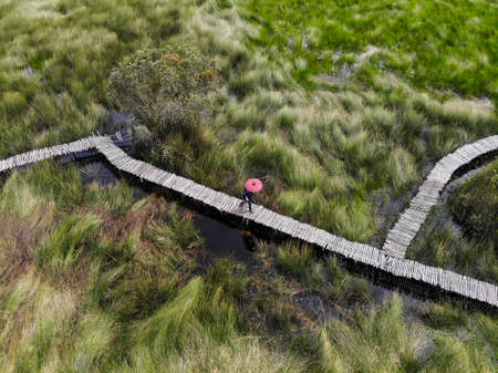 Nice wooden bridge on the grass field in Long An province southern Vietnam