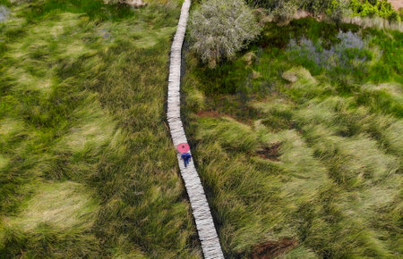 Nice wooden bridge on the grass field in Long An province southern Vietnamの写真素材