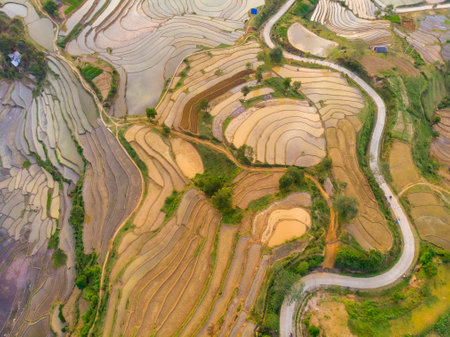 Nice rice terrace in Lao Cai province northern Vietnam