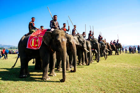 Nice elephant in Dak Lak province central Vietnam