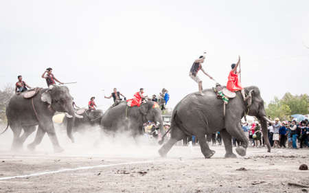 Nice elephant in Dak Lak province central Vietnamの写真素材