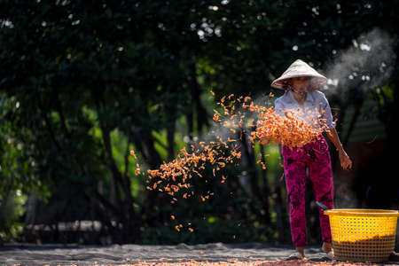 Drying shrimp in Kien Giang province southern Vietnamのeditorial素材