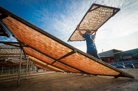 Drying fish in Kien Giang province southern Vietnamのeditorial素材