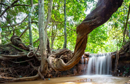 Number 4 waterfall in Binh Phuoc province southern Vietnamの写真素材