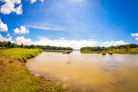 Bau Lach grass land in Binh Phuoc province southern Vietnamの写真素材