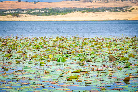 Bau Trang lake in Binh Thuan province central Vietnamの写真素材