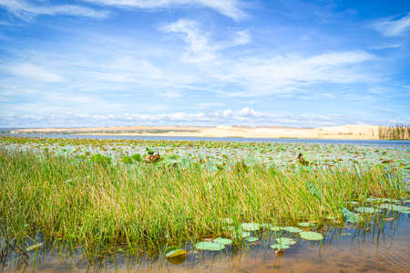 Bau Trang lake in Binh Thuan province central Vietnamの写真素材