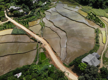 Nice rice field in Hoa Binh province northern Vietnamの写真素材