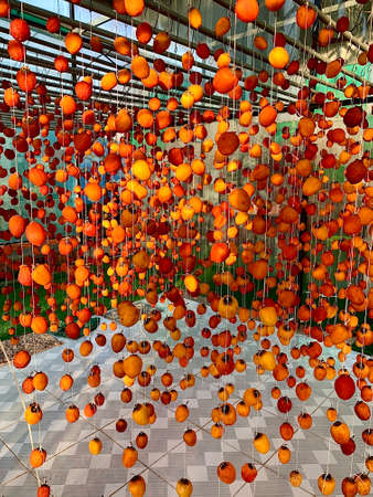 Chinese lanterns hanging on the ceiling of a shopping center in Beijingの写真素材