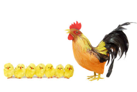 Easter chicks line and rooster