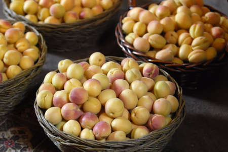 crop of fresh apricot in baskets,  Prunus armeniacaの写真素材