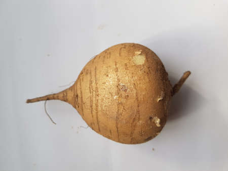 Yam bean fruit isolated on white background prepaid for cooking.