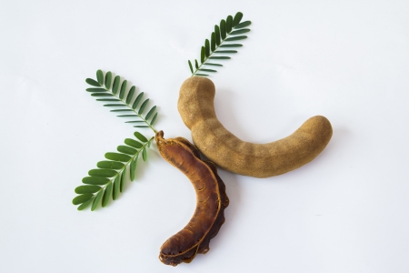 Tamarind Sweetの写真素材