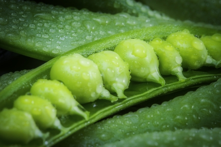 organic string beansの写真素材