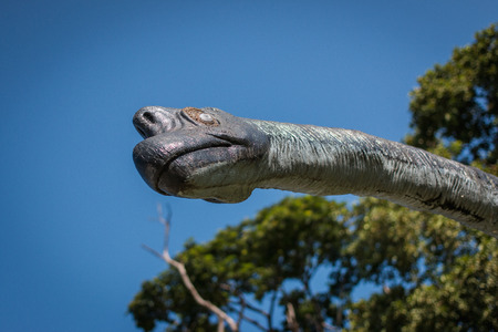 Herbivorous dinosaur head on beautiful sky.の写真素材