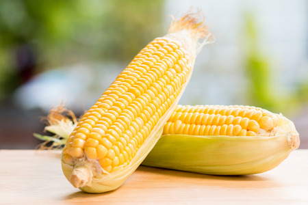 fresh sweetcorn on wooden table