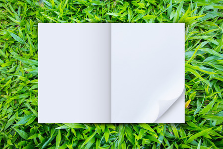Open blank paper on green grass background, Top viewの写真素材