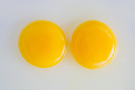 Two chicken Raw egg yolks in the white background. Top viewの写真素材