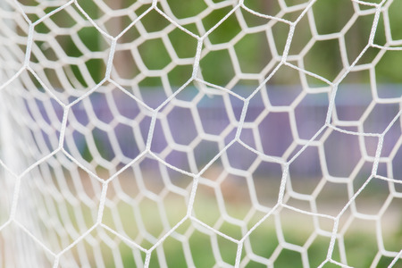 abstract background of white netの写真素材