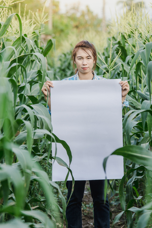 farmer woman holding blank white poster in corn field.の写真素材