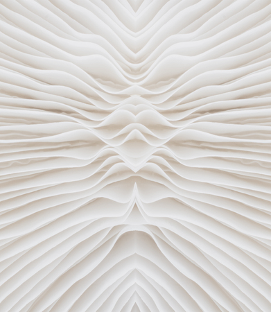 abstract background macro image of Sajor-caju Mushroomの写真素材