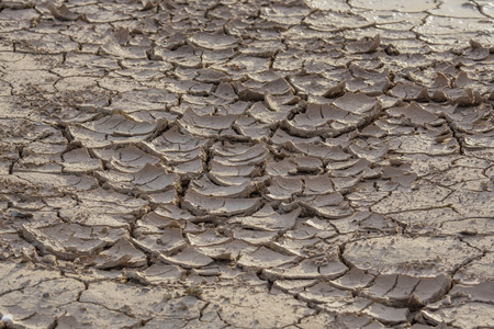 texture background of dry soil and ground cracks after the water dries.の写真素材