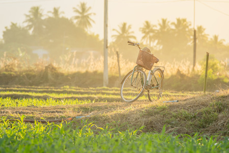 PHETCHABUN THAILAND- DECEMBER 13 : Light evening with bicycle retro style and farmland on December 13 , 2016 at Rural Phetchabun Thailandのeditorial素材