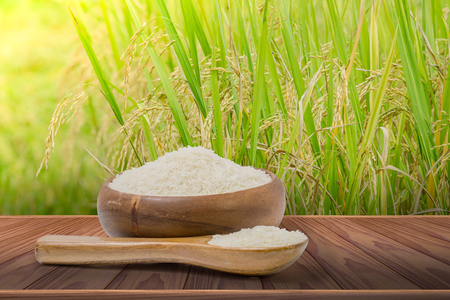 white rice  heap in  wooden cup and spoon with rice field backgroundの写真素材