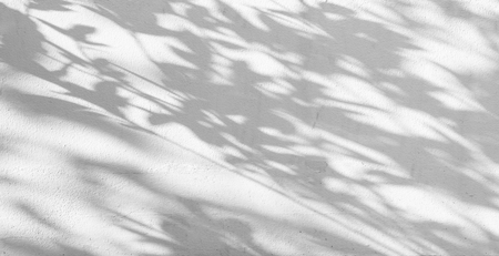 shadows leaf on a white concrete rough texture background, black and white color