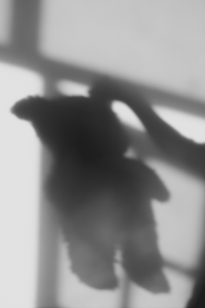 abstract blur background of shadow bear on white wall.