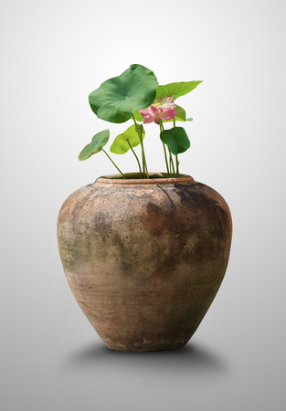 The blossom pink lotus and green leaf in a brown clay pot isolated on gray background for home decor. File contains a clipping path.の写真素材