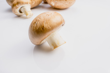 fresh brown portabello mushroom on white background.の写真素材