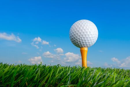 golf ball on tee pegs ready to play in the green grass and blue sky, sport outdoorの写真素材